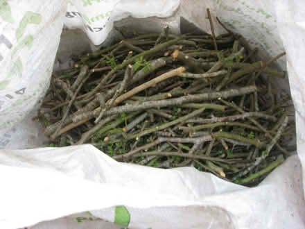 Photo of free Firewood (IP5) #2