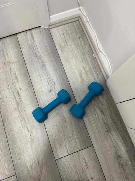 Photo of free Weighs exercise 2.5 kg each x2 (Highlands village N21) #1