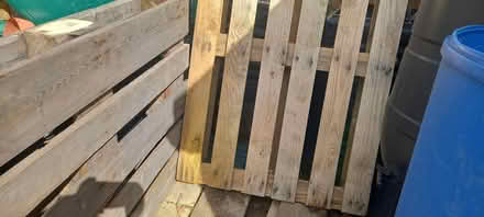 Photo of free Pallets (Costhorpe S81) #1