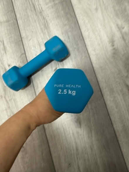 Photo of free Weighs exercise 2.5 kg each x2 (Highlands village N21) #2