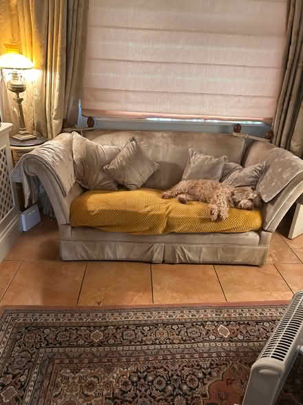 Photo of free Laura Ashley velvet sofa no rips no stains 170cms long 90cm (Finchingfield CM7) #1