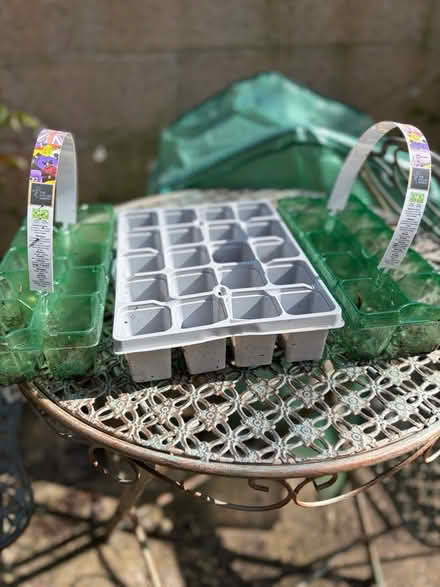 Photo of free Three seed trays (Westbury Wilts BA13) #1