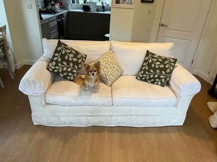 Photo of free 2 Cream Sofas (Emmer Green RG4) #2