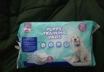 Photo of free Puppy pads (Chester CH1) #1