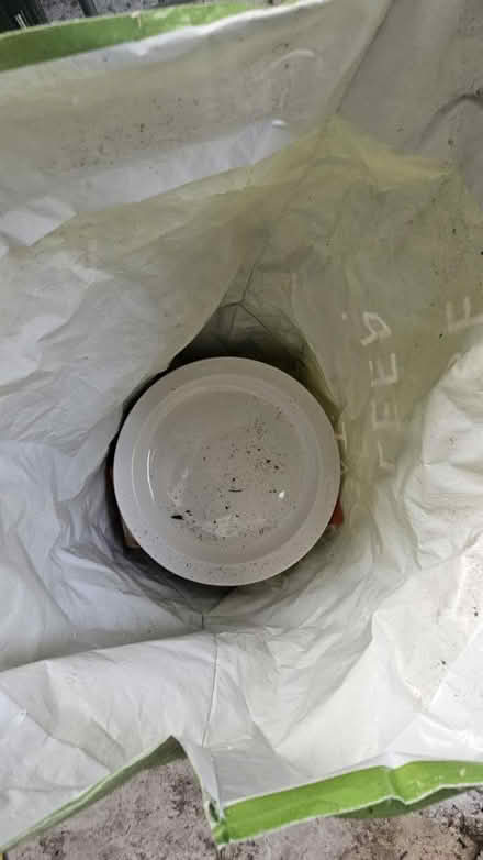 Photo of free White plate (Tw7) #2