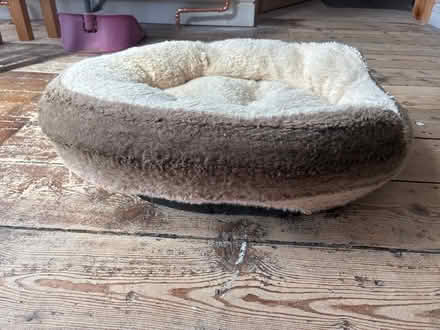 Photo of free Cat / dog bed (Aintree Village L10) #2