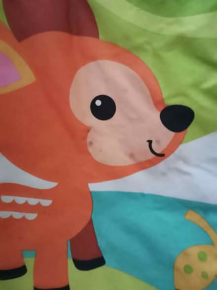 Photo of free Baby chair and play stand (Barnstaple Devon) #1