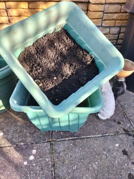 Photo of free Various Garden Pots x 4 or 5 vgc (Hilsea Portsmouth PO2) #2
