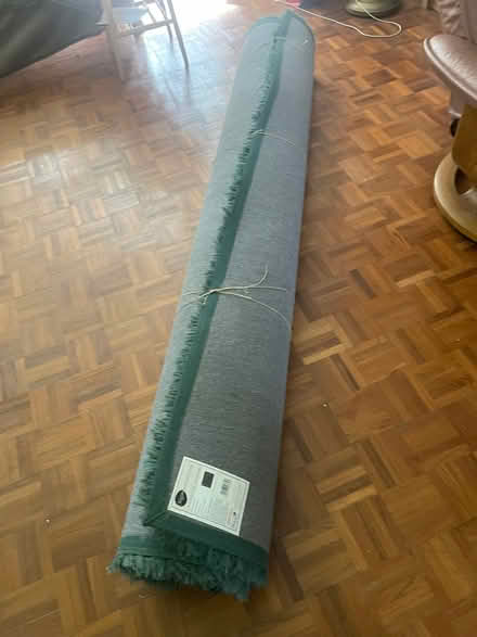 Photo of free Large green shag pile rug. (Rodwell DT4) #2