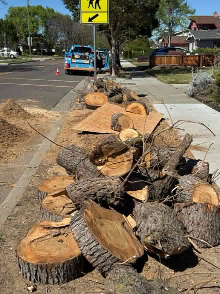 Photo of free Wood (West San Jose / Cupertino, CA) #2