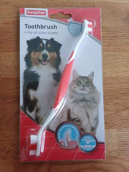 Photo of free Cat or Dog toothbrush 🪥 (Chichester PO19) #1