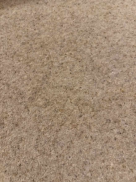 Photo of free Carpet & underlay (Leckhampton GL53) #3