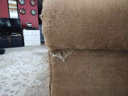 Photo of free Couch (fayetteville) #2