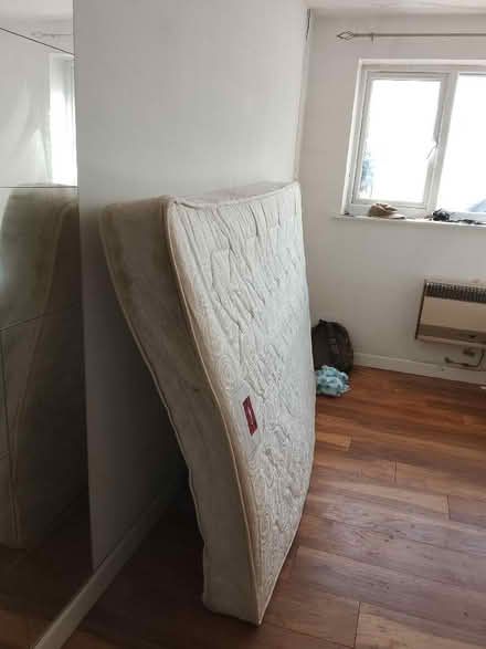 Photo of free King (Arle GL51) #2