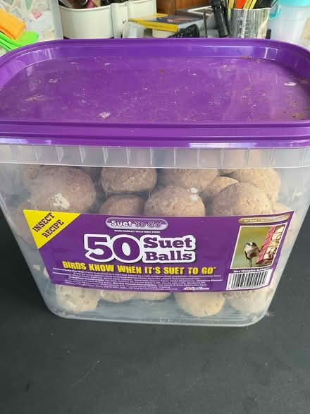 Photo of free Suet Balls (RG30 Tilehurst) #1