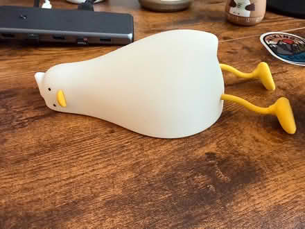 Photo of free Duck lamp (Near Lincoln Park) #1