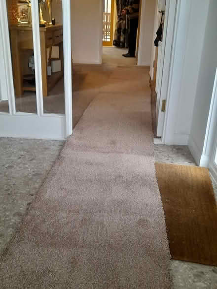 Photo of free Carpet runner (Bridge of allan) #1