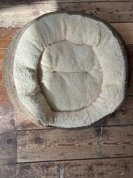 Photo of free Cat / dog bed (Aintree Village L10) #1