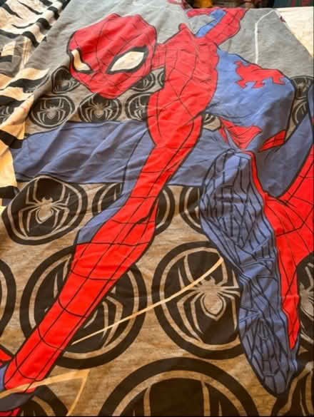 Photo of free Single duvet cover (W10 nottinghill) #1