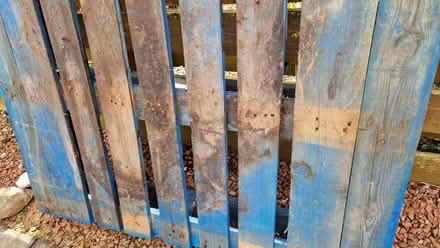 Photo of free Pallet (Bridge of Allan FK9) #4