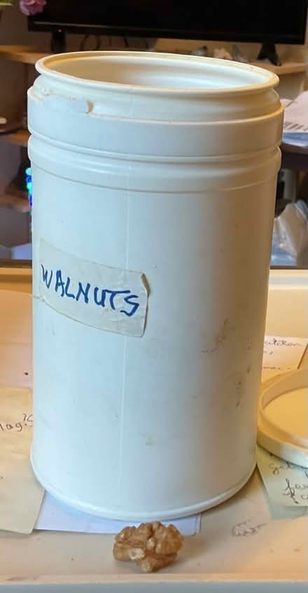 Photo of free Walnuts (AB15) #1