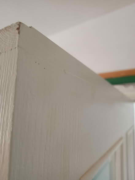 Photo of free Internal glazed door (Just off Gloucester Rd BH7 6J*) #4