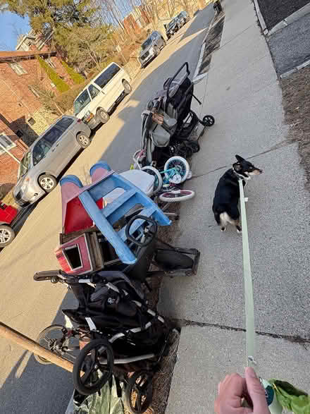 Photo of free Strollers and furniture (Hatherly road Brighton ma) #1