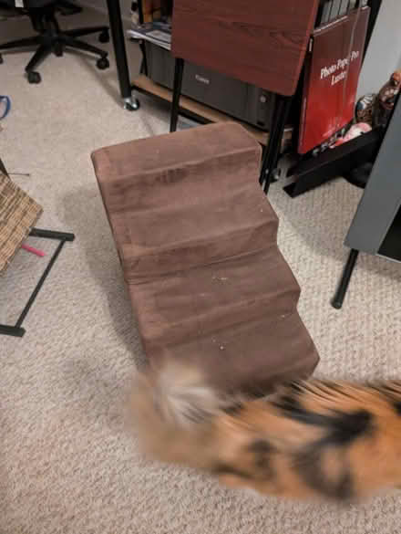 Photo of free Soft Cat Steps (West Novato/San Marin) #1