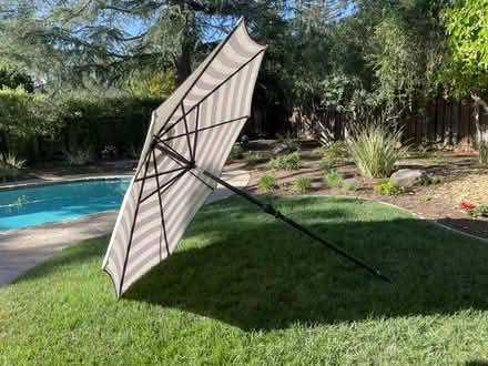 Photo of free market umbrella (Los Altos) #2