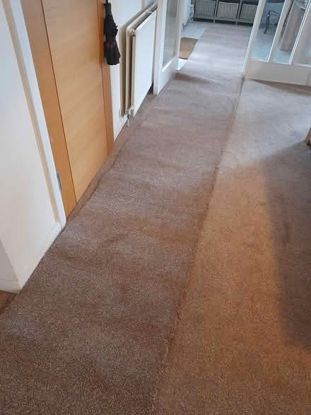 Photo of free Carpet runner (Bridge of allan) #2
