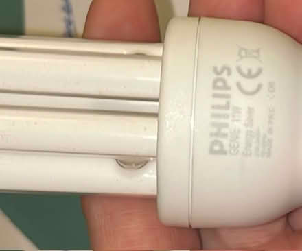 Photo of free low energy bulb, 11w (Kennington SW8) #1