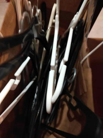 Photo of free Hangers (Carterton OX18) #1