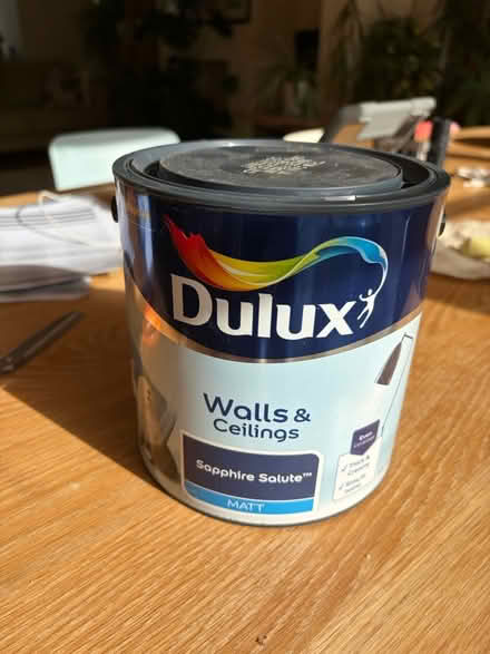 Photo of free Sapphire salute paint (Farnham GU9) #1