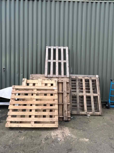 Photo of free 16 pallets (E33DA) #1