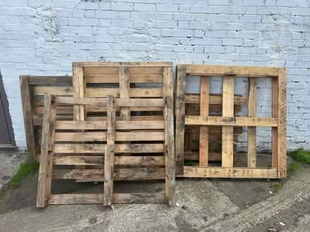 Photo of free 16 pallets (E33DA) #2