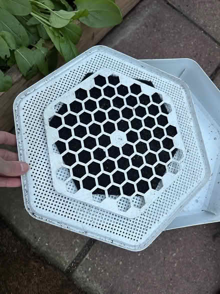 Photo of free Bug factory - meal worm grower kit (Shoreham BN43) #3