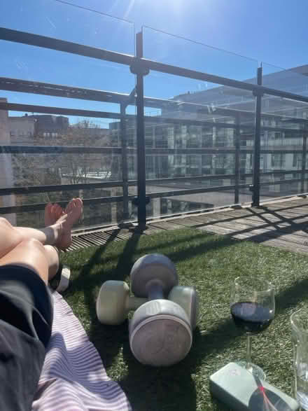 Photo of free Fake grass matting X2 (SW1P 3DS) #1