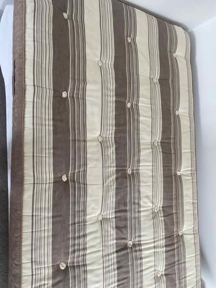 Photo of free Single bed (Orpington BR5) #2