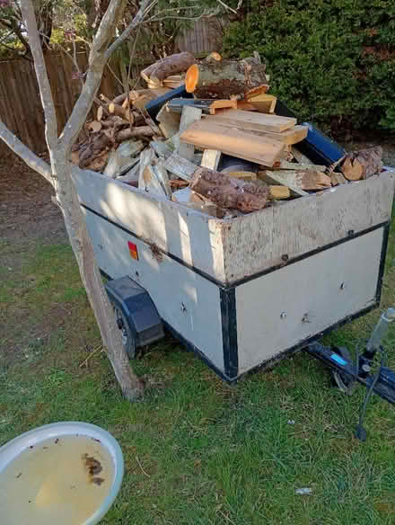 Photo of free Firewood (Hunstanton PE36) #2