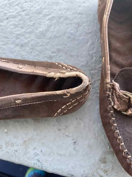 Photo of free Women’s shoes 9m (Oakland) #2