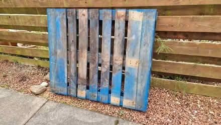 Photo of free Pallet (Bridge of Allan FK9) #1