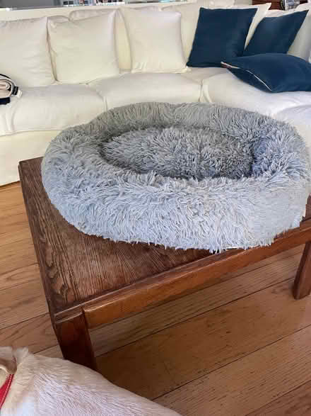 Photo of free Dog bed and dog blanket , etc (San Anselmo) #1