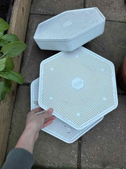 Photo of free Bug factory - meal worm grower kit (Shoreham BN43) #4