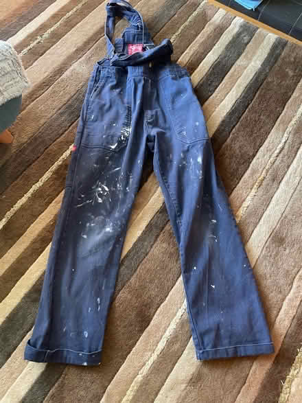 Photo of free overalls - good condition apart from paint (Pollards Hill SW16) #1