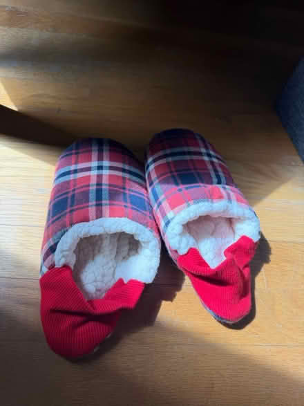 Photo of free Slippers (Near Lincoln Park) #1