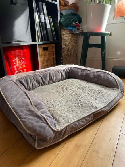 Photo of free Dog Bed Medium (BN2) #2