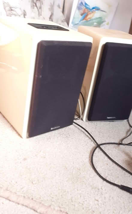 Photo of free Sandstrom Speakers (Thrupp GL5) #2