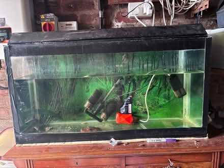 Photo of free Fish Tank / Vivarium (Dysart KY1) #2
