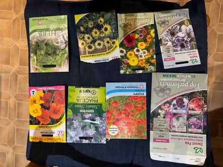 Photo of free 8 packs of seeds (Eastbourne BN21) #1