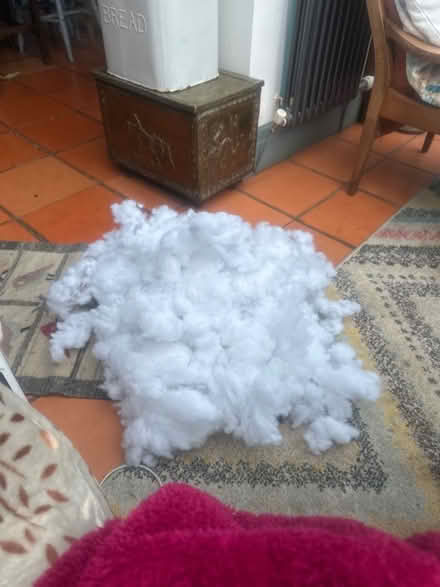 Photo of free new stuffing (Heysham LA3) #1